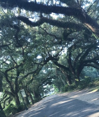 spring hill 3